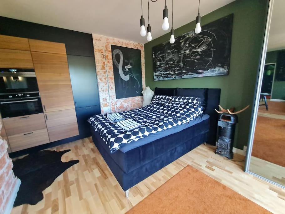 Rovio Art Apartments Gummeruksenkatu 5 Jyvaeskylae Dış mekan fotoğraf